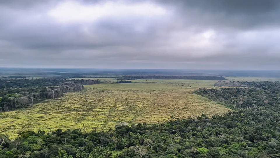 STF julga omissão do Congresso sobre preservação da Amazônia