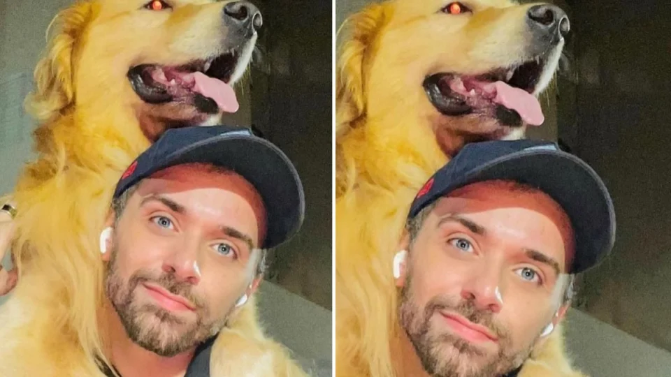 Dono faz desabafo e detalha morte de cachorro por erro de companhia aérea