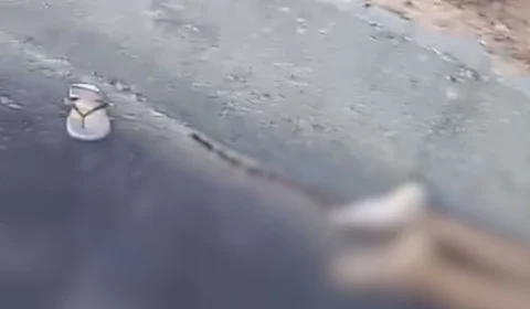 Corpo de jovem é encontrado com sinais de atropelamento na BR-174