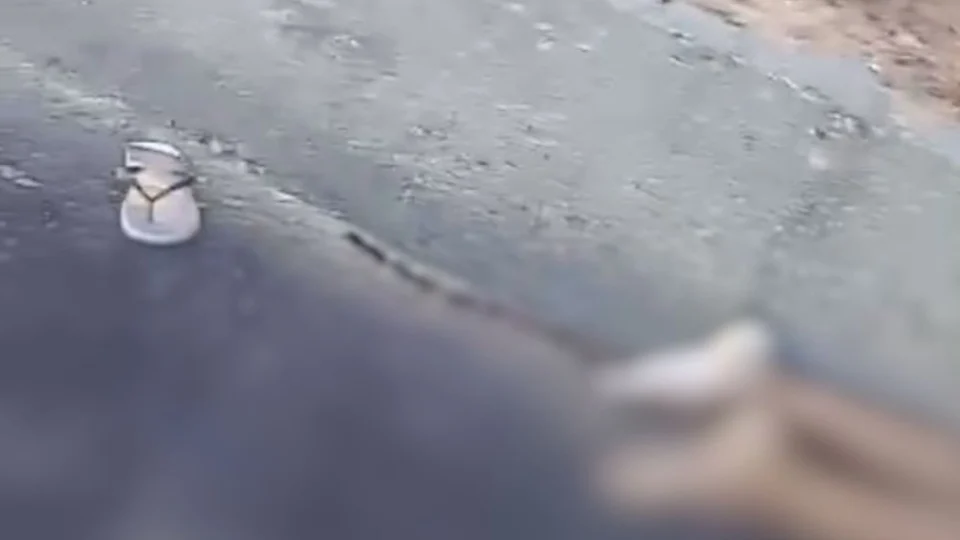 Corpo de jovem é encontrado com sinais de atropelamento na BR-174