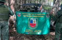 Policia Militar resgata peixes ornamentais e macaco no AM