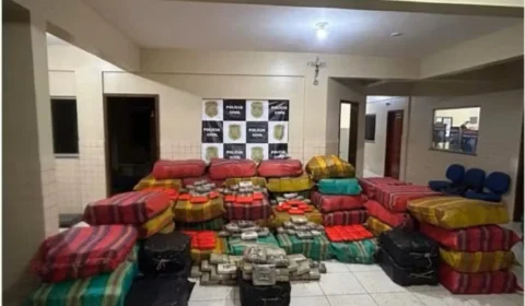 Polícias do Pará realizam apreensão de 3,2 toneladas de drogas