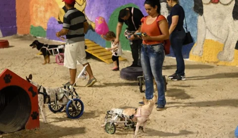 ‘Praça PET’ é revitalizada e reinaugurada em Manaus