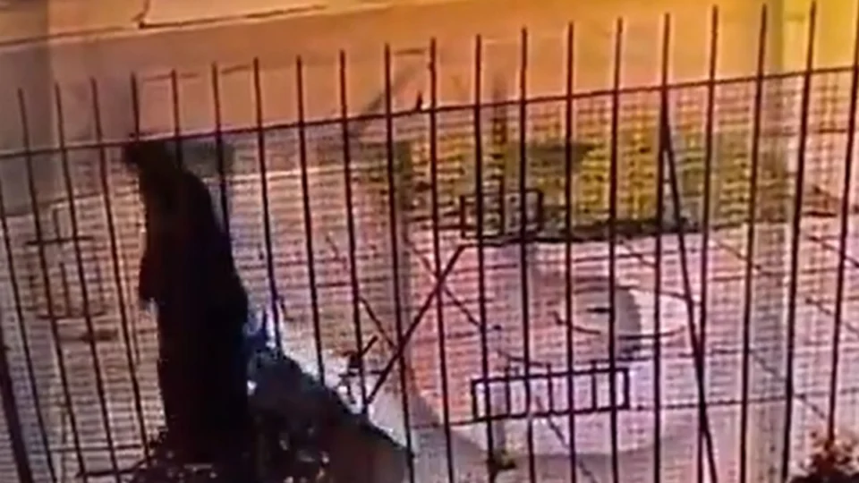 VÍDEO: vestida de freira, idosa carrega companheira morta dentro de mala