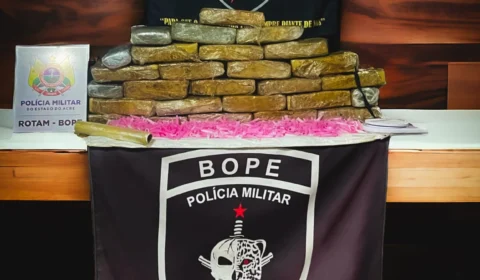 Polícia apreende 25 kg de drogas em matagal no Acre