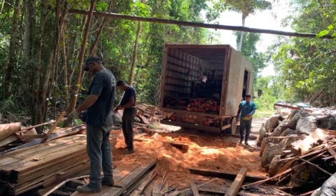 Fornos para produção de carvão ilegal são destruídos no AM