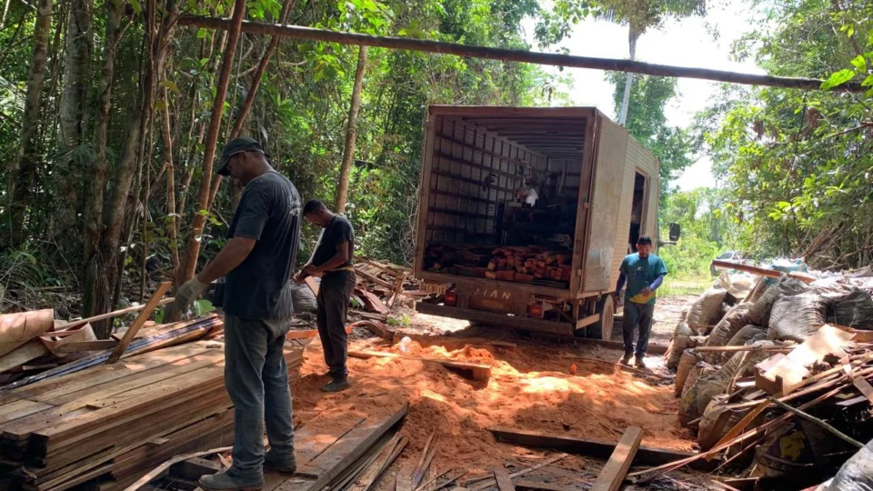 Fornos para produção de carvão ilegal são destruídos no AM