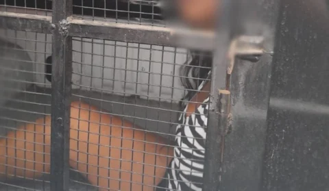 Criança de 4 anos é violentada e morta por companheira da mãe no AM