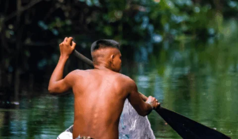 Ministério fará parte de congresso sobre educação ambiental em Manaus