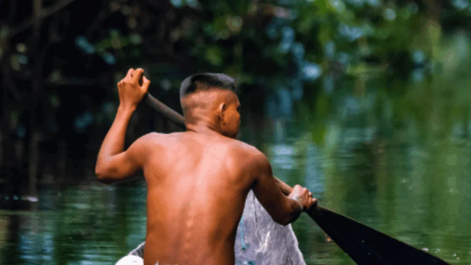 Ministério fará parte de congresso sobre educação ambiental em Manaus