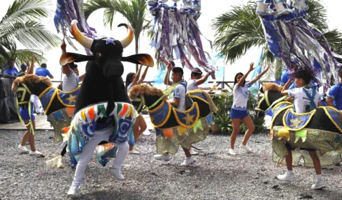 Boi Caprichoso disponibiliza novo álbum digital; ouça as faixas