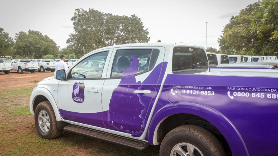Professora Dorinha lança programa de proteção à mulher
