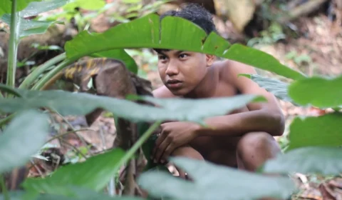 Cineclube de Arte apresenta mostra ‘Olhar Indígena’ em Manaus