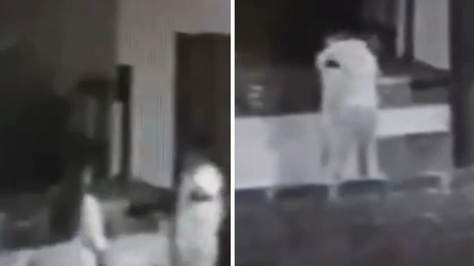 VÍDEO: diretor é flagrado fazendo sexo em anfiteatro de escola; assista