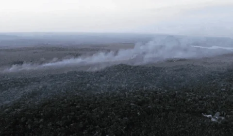 Incêndio florestal: saiba quando região Norte entra em emergência