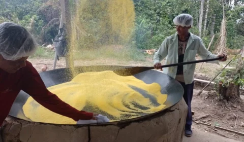 Farinha de Uarini se torna Patrimônio Cultural do AM; veja como é produzida