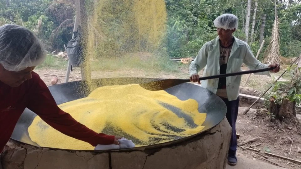 Farinha de Uarini se torna Patrimônio Cultural do AM; veja como é produzida