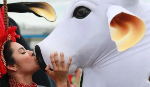 Festa recebe Isabelle Nogueira em Parintins