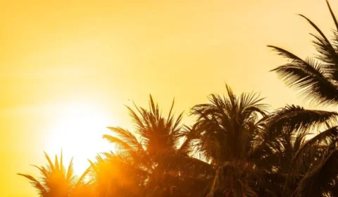 Previsão do tempo: confira o clima para esta segunda (15) em Manaus