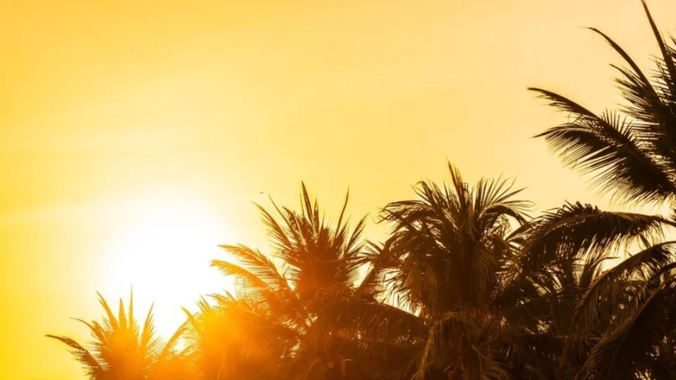 Previsão do tempo: confira o clima para esta segunda (15) em Manaus