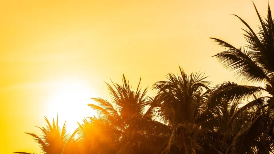 Previsão do tempo: Manaus terá dia de calor nesta segunda (26)