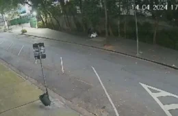 Vídeo mostra apresentadora Silvia Poppovic sendo assaltada e agredida