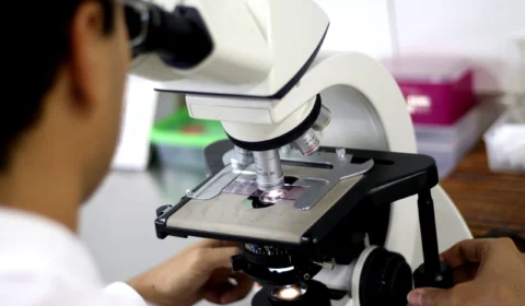 Seres Humanos: Lei que regula pesquisa é sancionada com vetos