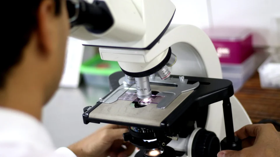 Seres Humanos: Lei que regula pesquisa é sancionada com vetos