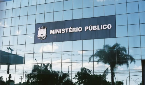 MP-RS decide sobre Pet Shop que deixou animais morrerem