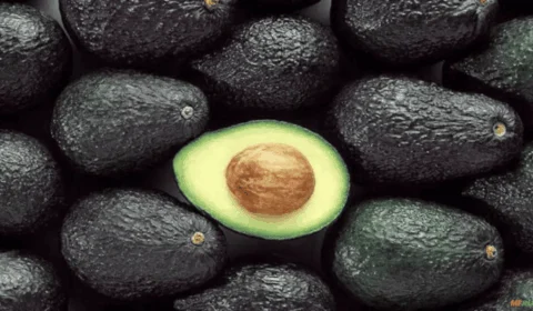 Benefícios do abacate: veja efeitos da fruta na saúde