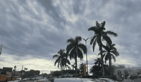 Previsão do tempo: confira o clima para esta sexta (24) em Manaus