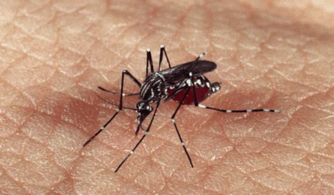 MPAC exige ações urgentes contra dengue em Tarauacá com multa em caso de descumprimento