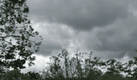 Previsão do tempo: confira o clima para esta segunda (20) em Manaus