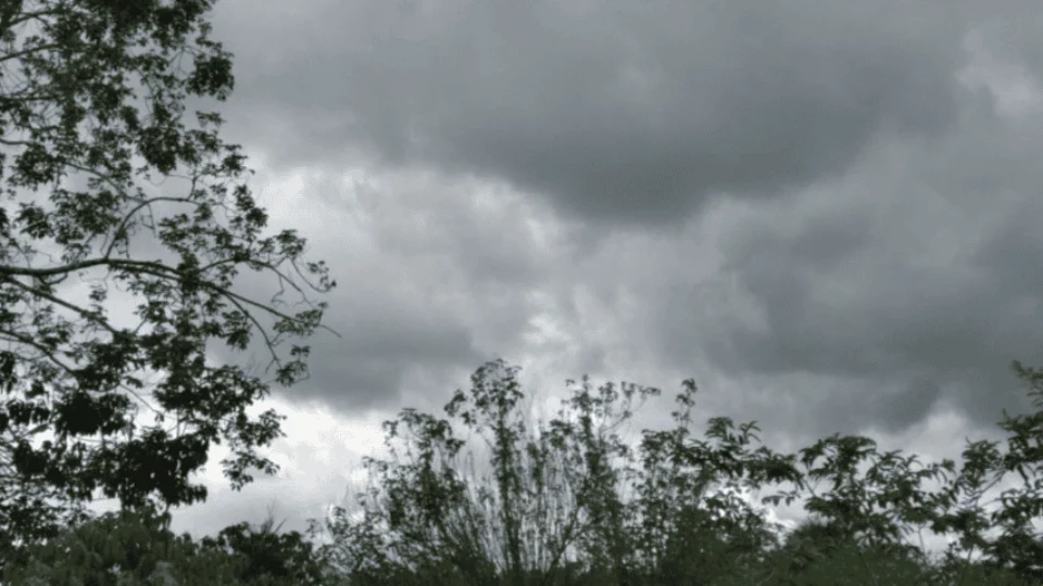 Previsão do tempo: confira o clima para esta segunda (20) em Manaus