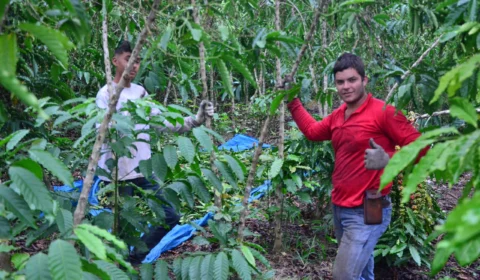 Seplan e Seagri iniciam Procape para fortalecer cadeias produtivas e gerar empregos no Acre