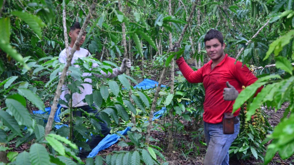 Seplan e Seagri iniciam Procape para fortalecer cadeias produtivas e gerar empregos no Acre