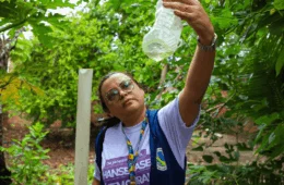Manaus registra aumento de casos de dengue confirmados, diz Semsa