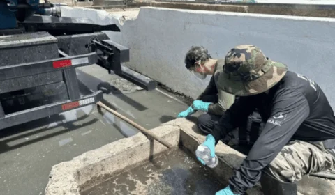 Centenas de peixes são encontrados mortos em lago de Manaus