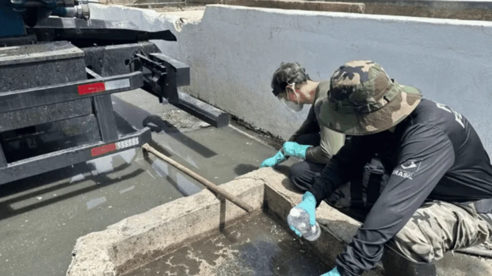 Centenas de peixes são encontrados mortos em lago de Manaus