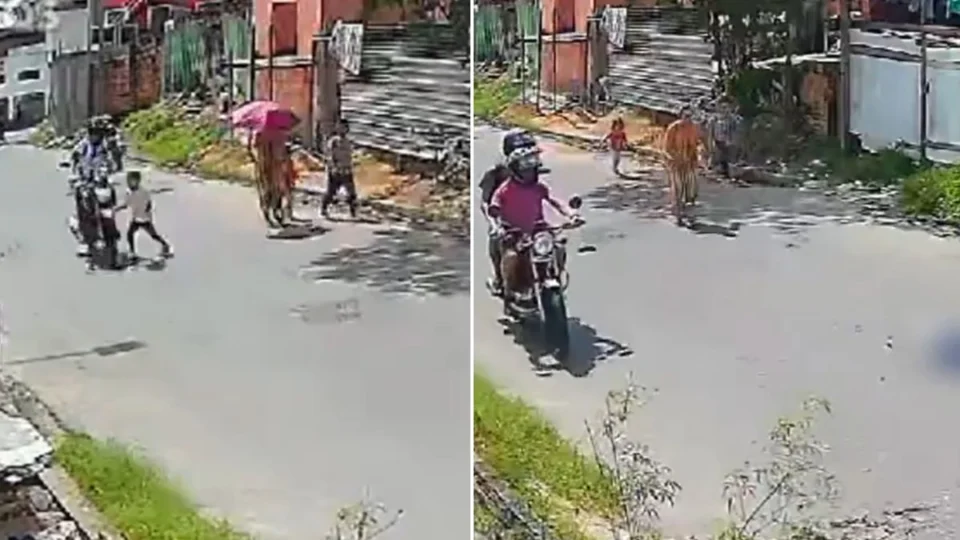 Mãe solta a mão de criança e acidente grave acontece em Manaus; veja vídeo