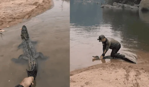 VÍDEO: homem pesca jacaré ‘sem querer’ e luta para tirar anzol do animal no AM