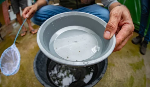 Mutirão contra a dengue é alternativa ao problema em Boa Vista-RR