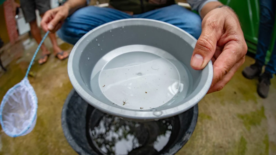 Mutirão contra a dengue é alternativa ao problema em Boa Vista-RR