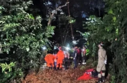 Paraquedista é resgatado após três horas preso em árvore no AM