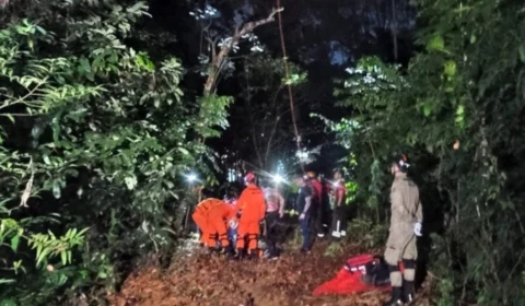 Paraquedista é resgatado após três horas preso em árvore no AM
