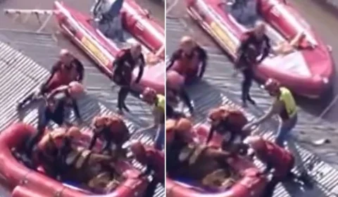 VÍDEO: cavalo é finalmente resgatado em Canoas (RS) e gravação emociona