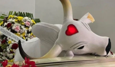 Boi Garantido é o primeiro a chegar no velório de Djidja Cardoso; veja vídeo