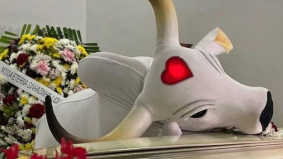 Boi Garantido é o primeiro a chegar no velório de Djidja Cardoso; veja vídeo