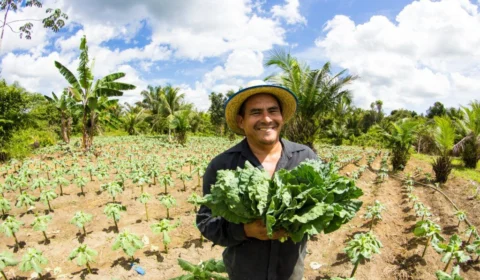Agricultores afetados pela estiagem recebem ajuda do Governo do Amazonas