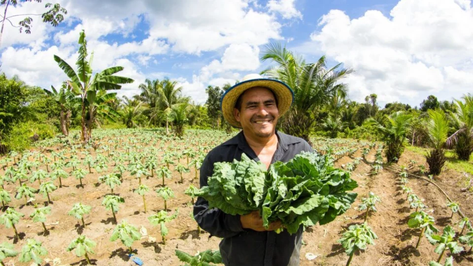 Agricultores afetados pela estiagem recebem ajuda do Governo do Amazonas